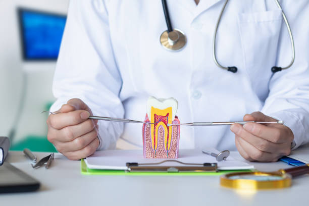 Best Emergency Tooth Extraction in Robersonville, NC